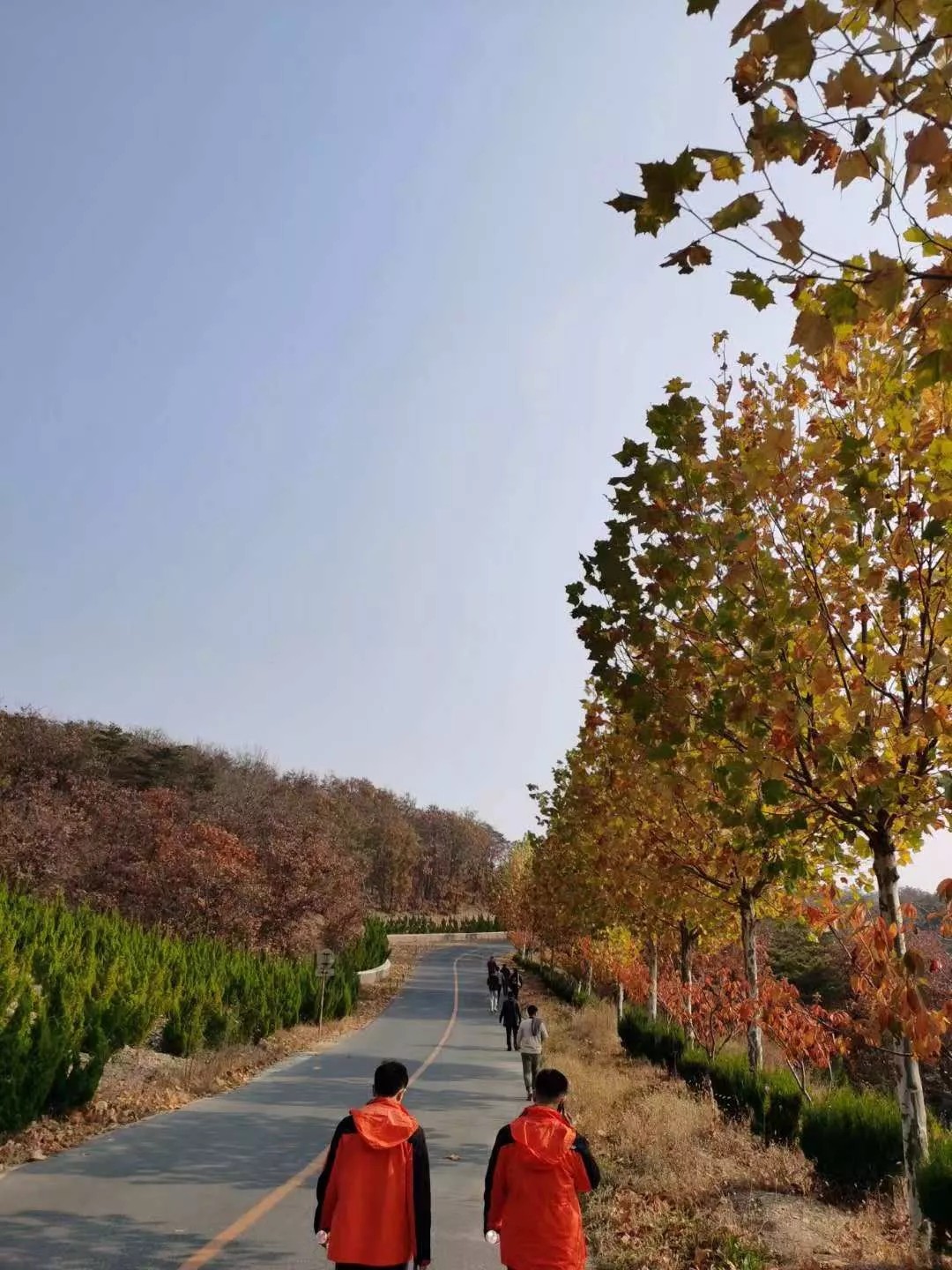 640.webp (18).jpg 640.webp (18).jpg